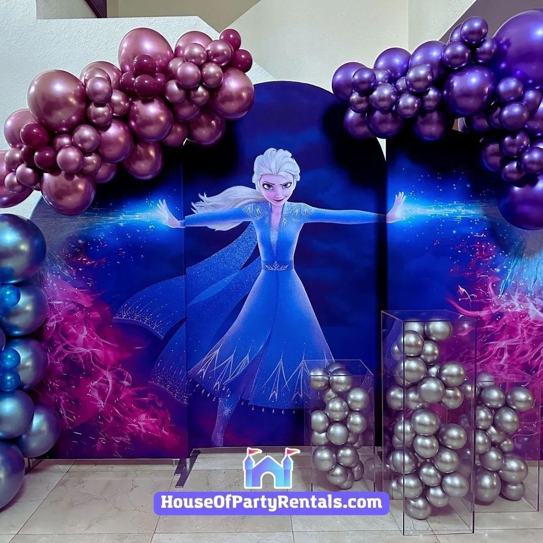 Elsa Birthday Decoration